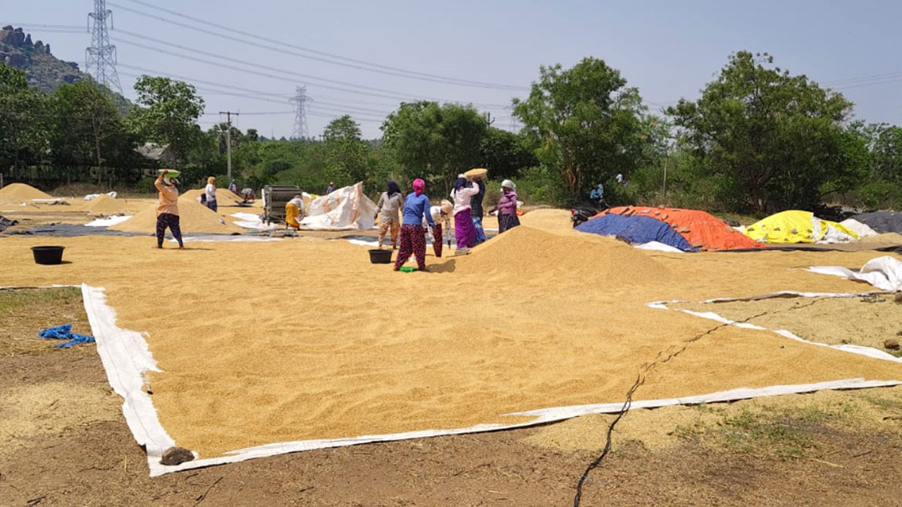 Paddy Procurment | పేరుకే ప్రారంభోత్సవాలు.. నేటికి ప్రారంభం కాని ధాన్యం కొనుగోళ్లు..