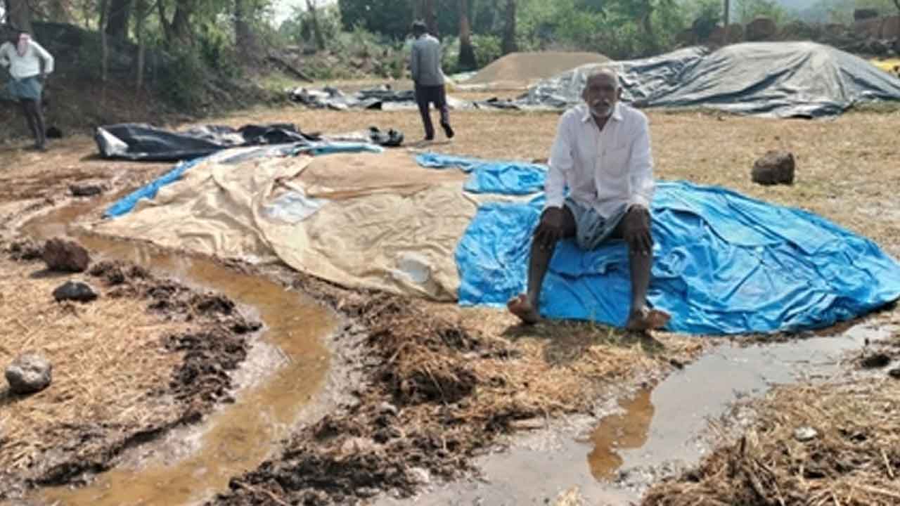 Maripeda | అకాల వర్షానికి తడిసిన ధాన్యం.. అధికారుల నిర్లక్ష్యమే కారణమంటున్న రైతన్నలు