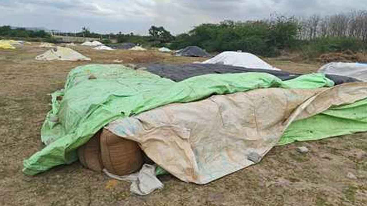 Grain procurement | కాంటాలు పెట్టరు, ధాన్యం తరలించరు.. అధికారుల నిర్లక్ష్యంతో ఇబ్బంది పడుతున్న రైతులు