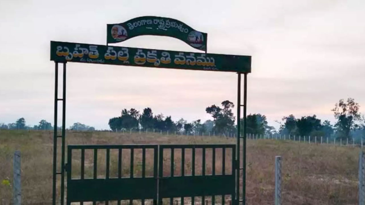 Palle Prakruthi Vanam | పాలకుల నిర్లక్ష్యంతో.. పచ్చదనం కొరవడిన పల్లెప్రకృతి వనాలు