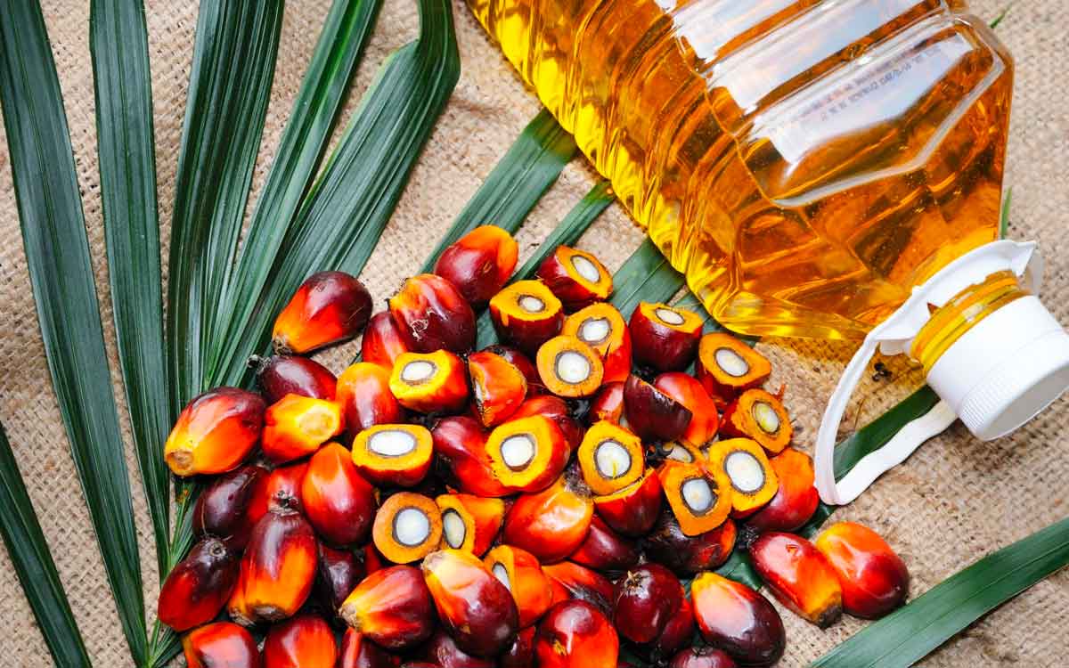 Palm Oil | పామాయిల్‌తో చేసిన వంట‌ల‌ను తిన‌కూడ‌దా..? ఈ ఆయిల్‌తో మ‌న‌కు లాభ‌మా.. న‌ష్ట‌మా..?