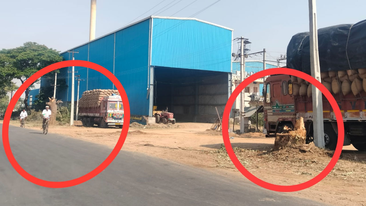 Papannapet | స్వార్థ ప్రయోజనాల కోసం దశాబ్దాల క్రితం నాటి చెట్ల నరికివేత..