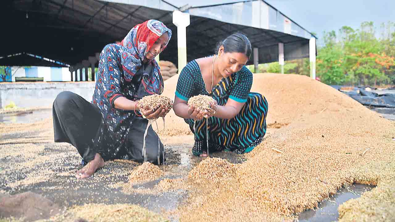 Telangana | అకాల వర్షం అన్నదాత ఆగం.. సర్కారు నిర్లక్ష్యంతో కొనుగోలు కేంద్రాల్లో తడిసిన ధాన్యం