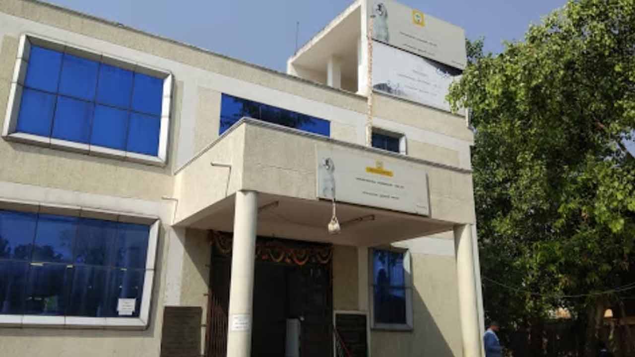 Veterinary Doctors | పెంపుడు జంతువుల ఆరోగ్యం పట్ల క‌నీస జాగ్ర‌త్త‌లు తీసుకోవాలి..