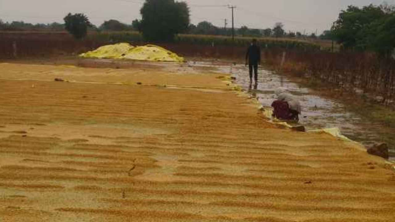 Hail rains | రాయపోల్‌ మండలంలో వడగళ్ల వాన.. తడిసి ముద్దయిన ధాన్యం