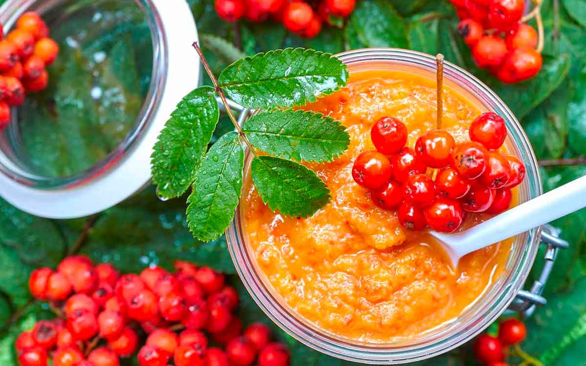 Rowan Berries | ఈ బెర్రీల‌ను ఎప్పుడైనా తిన్నారా..? వీటితో క‌లిగే లాభాలు తెలిస్తే షాక‌వుతారు..!