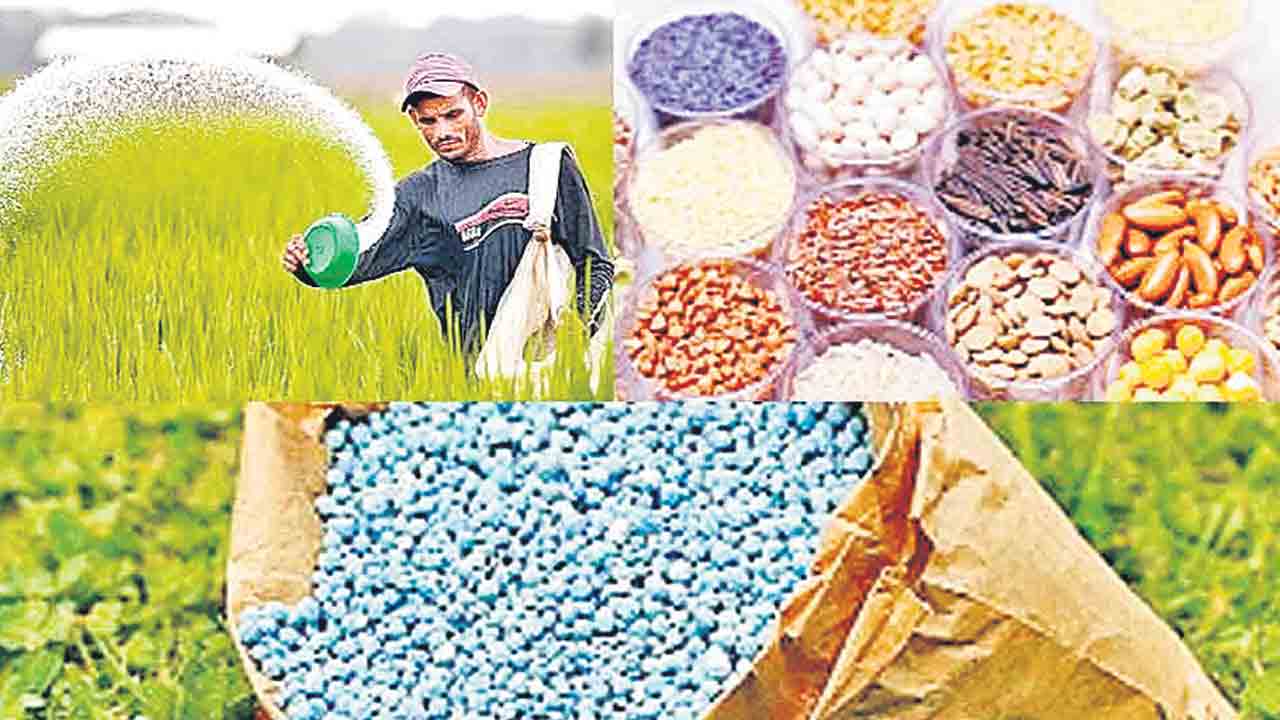 విత్తనాలు నో స్టాక్‌