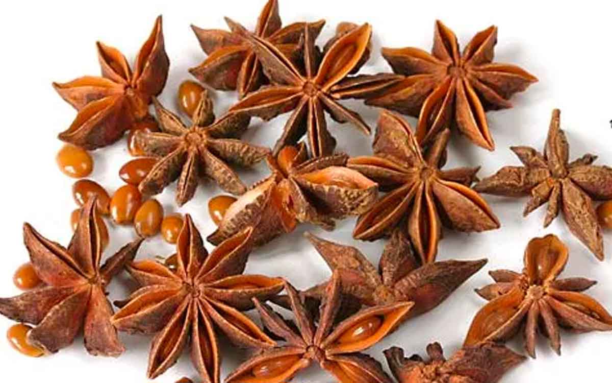 Star Anise | దీన్ని కేవ‌లం మ‌సాలా దినుసు అనుకుంటే మీరు పొర‌పాటు ప‌డిన‌ట్లే.. దీంతో క‌లిగే లాభాలు ఇవే..!
