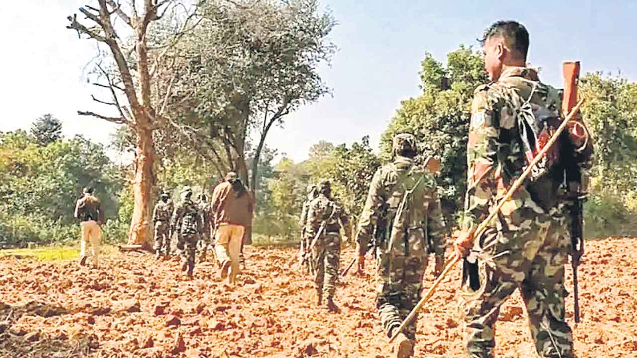పచ్చని అడవుల్లో రక్తపాతాన్ని ఆపండి!