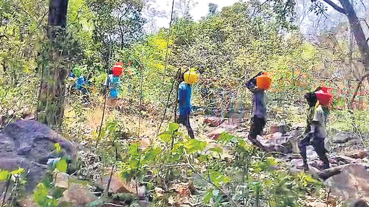 Tribals 2