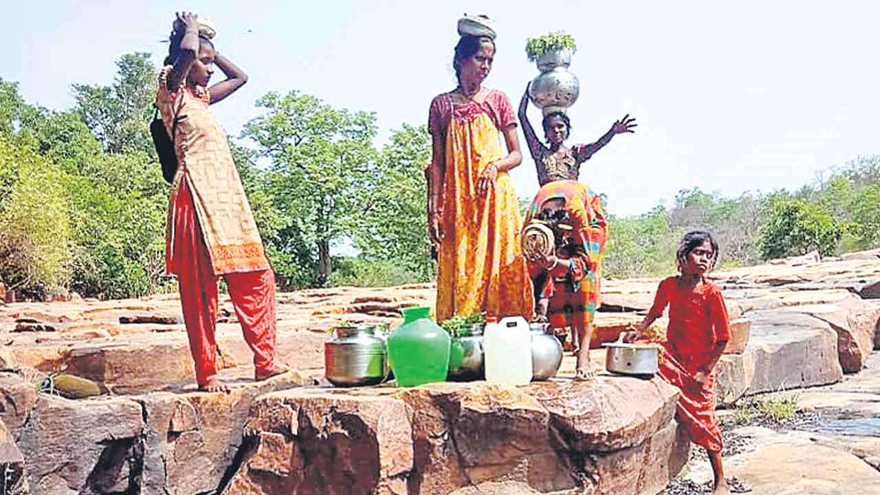 Nallamala Forest | నల్లమలలో నిశ్శబ్ద నరమేధం!.. చెంచుల పాశవిక వధకు ప్రభుత్వం కుట్ర?