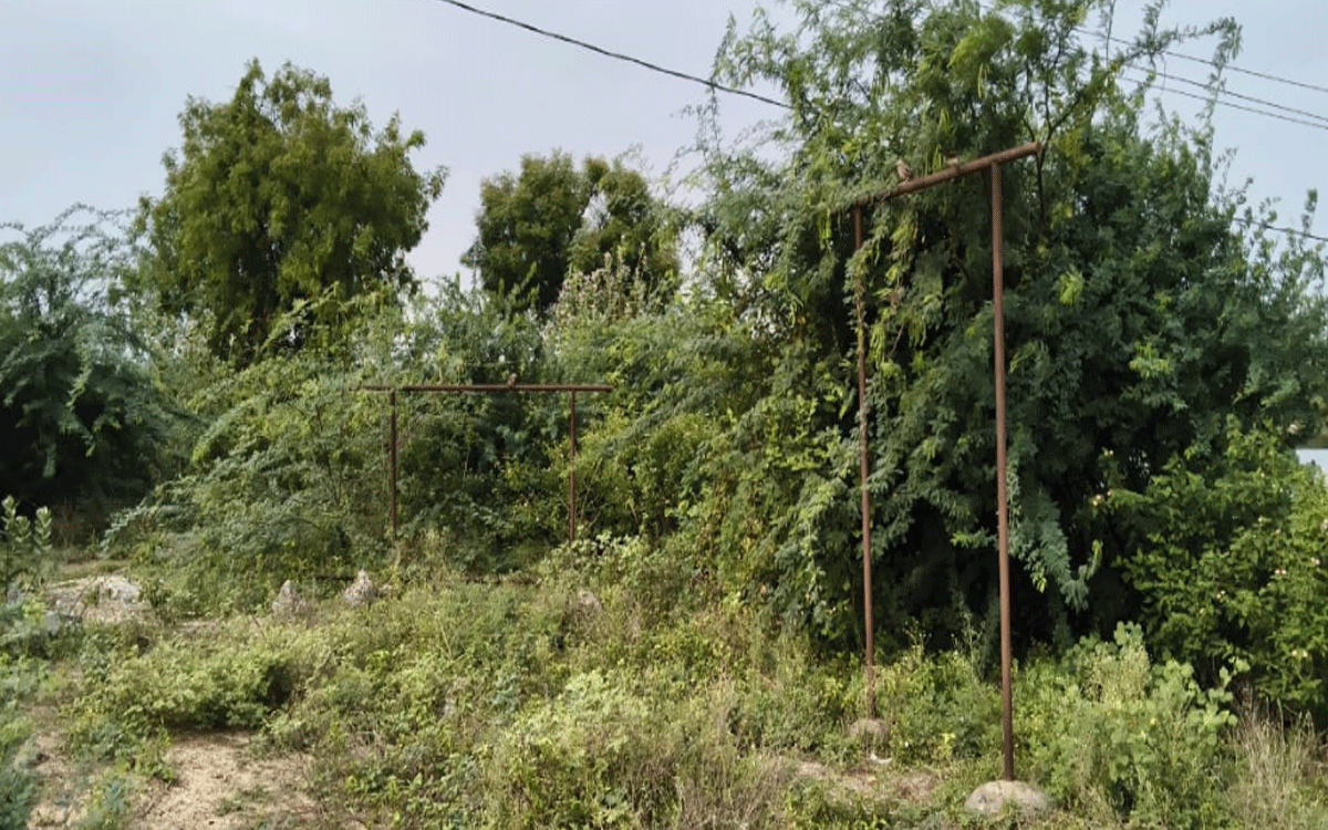 Tripuraram : కంపచెట్లకు నిలయంగా క్రీడా ప్రాంగణాలు