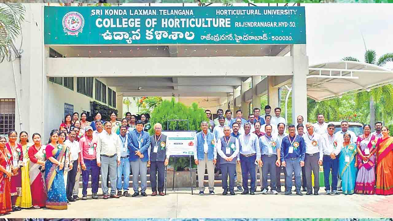 ‘దుంప సాగు’ పెంపునకు కార్యాచరణ