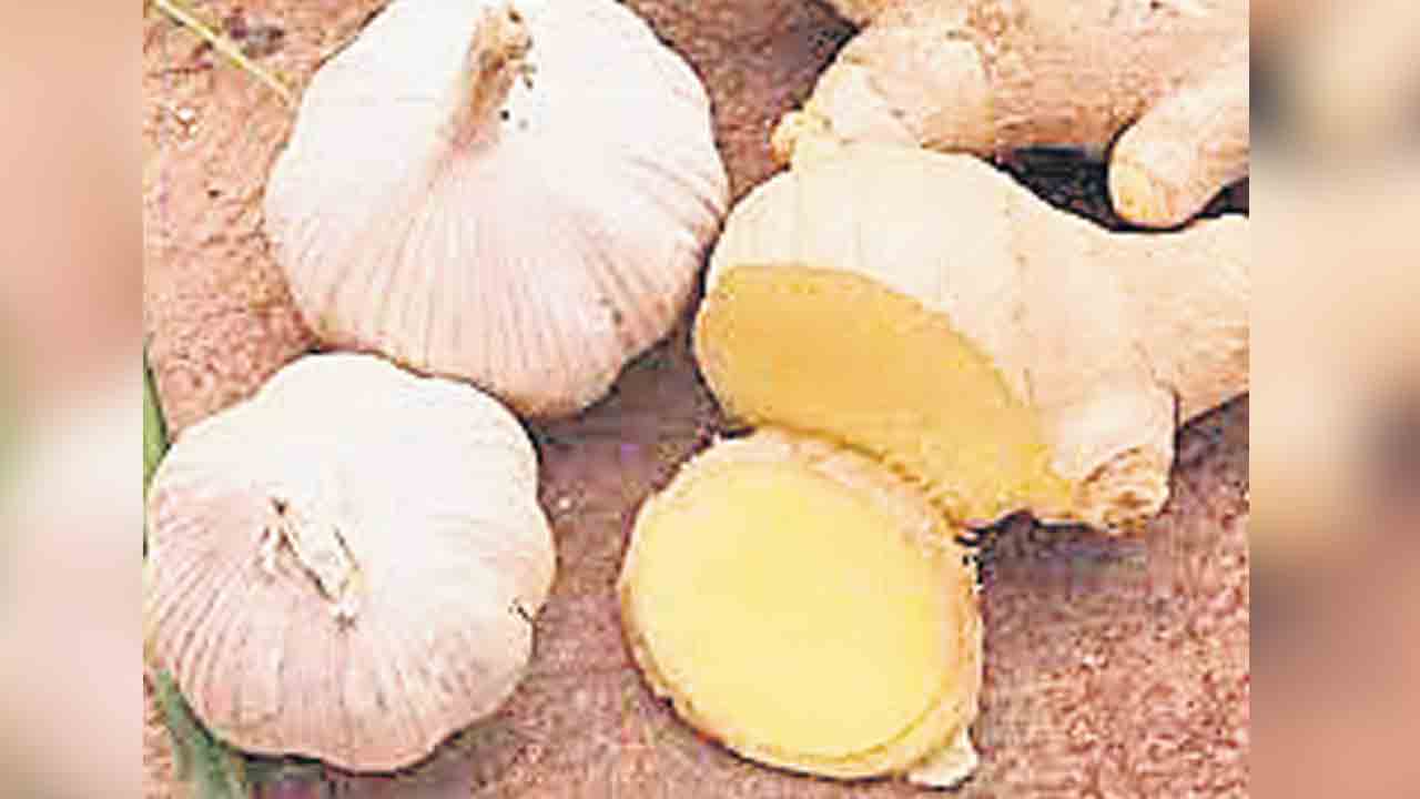 Spices | 11 రకాల పంటల సాగు అంతంతమాత్రమే.. రాష్ట్రంలో చింతపండు, అల్లం, వెల్లుల్లికి కొరతే