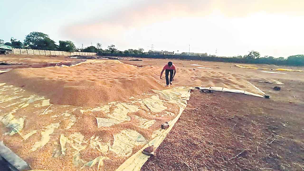 అకాల వర్షం.. రైతన్న ఆగమాగం