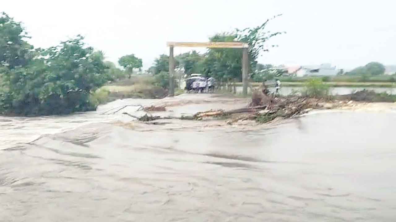 దంచికొట్టిన వాన