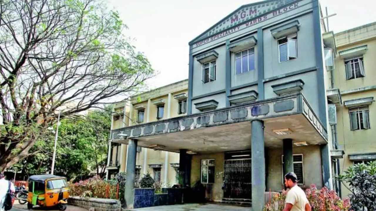 Snake in MGM | ఎంజీఎం రేడియాలజీ విభాగంలో పాము కలకలం