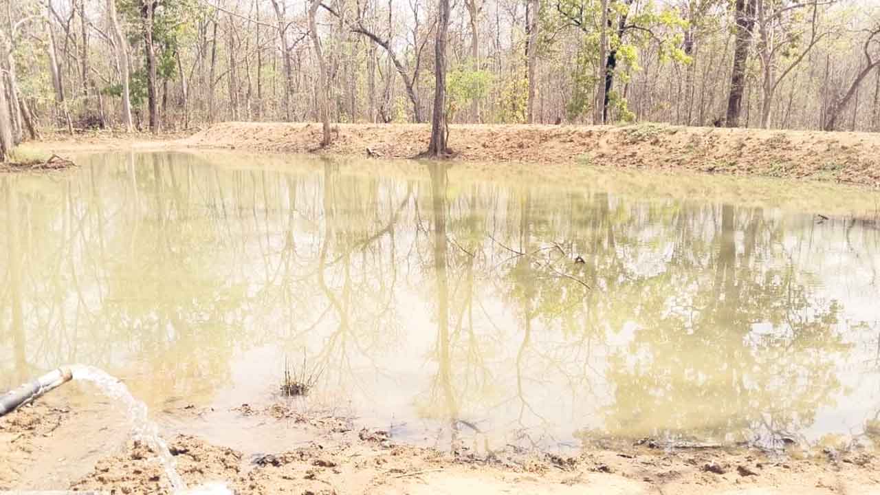 వన్యప్రాణుల దాహార్తి తీర్చేందుకు.. నీటి సౌకర్యం కల్పిస్తున్న అటవీశాఖ