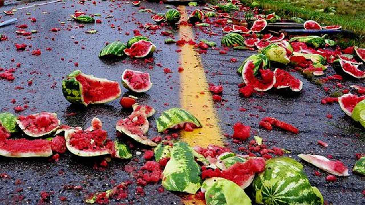 వీని తలపండు పలుగ