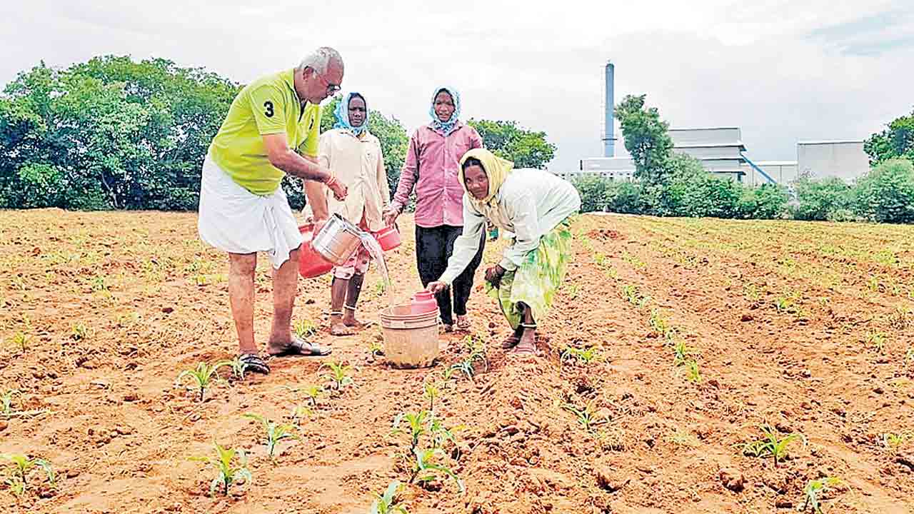 జాడలేని వాన.. పంట రక్షణకు రైతన్న పాట్లు