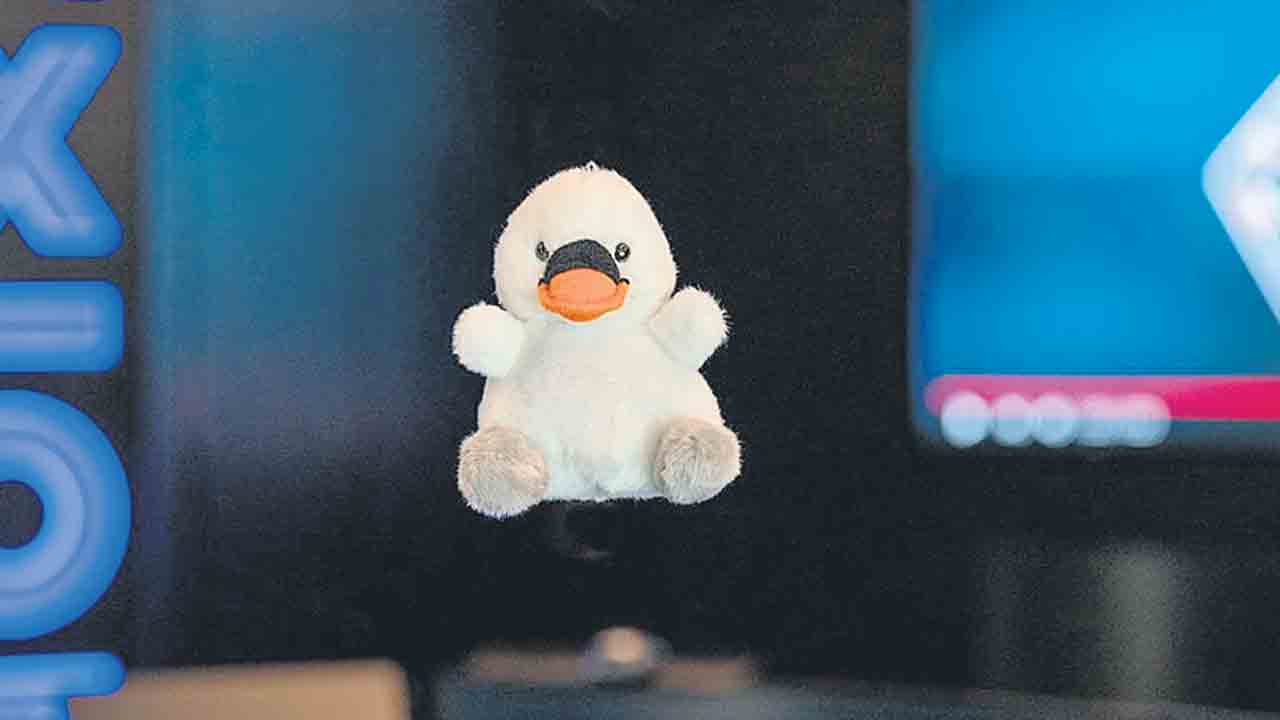 ‘జాయ్‌’.. ది బేబీ స్వాన్‌