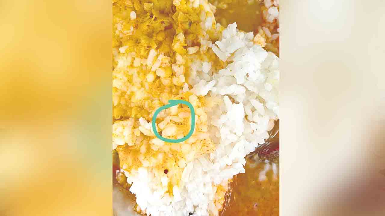 మధ్యాహ్న భోజనంలో పురుగులు