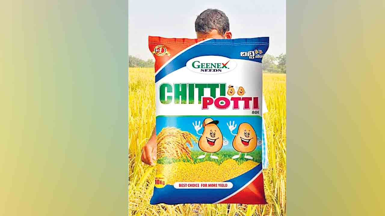 సన్నాల్లో మేలురకం విత్తనాలు