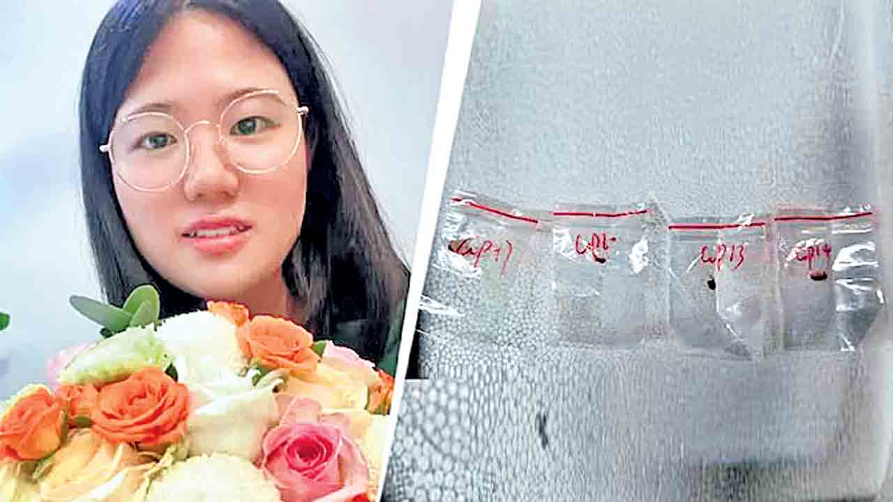 అగ్రో టెర్రరిజం.. పంటలను నాశనం చేసే ఫంగస్‌ స్మగ్లింగ్‌!