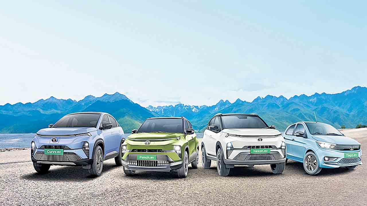 ఈవీల ఉత్పత్తికి బ్రేక్‌!