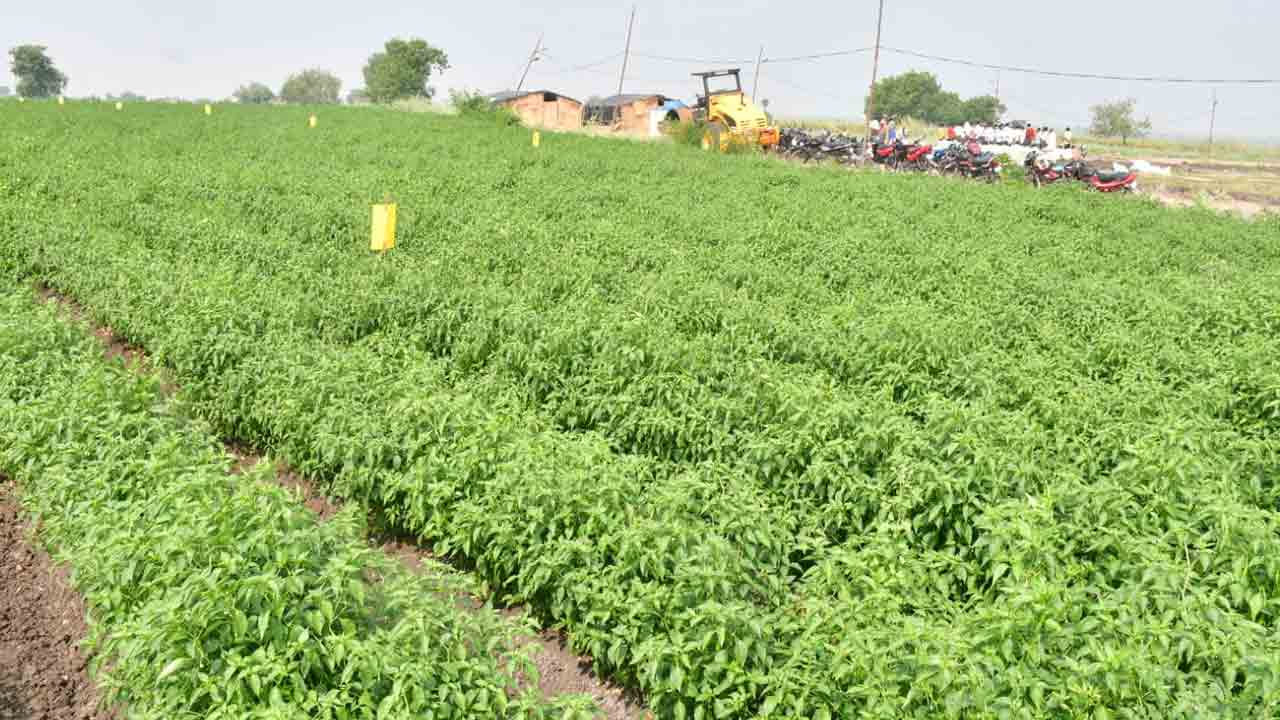 అగ్నికి.. ఆజ్యం