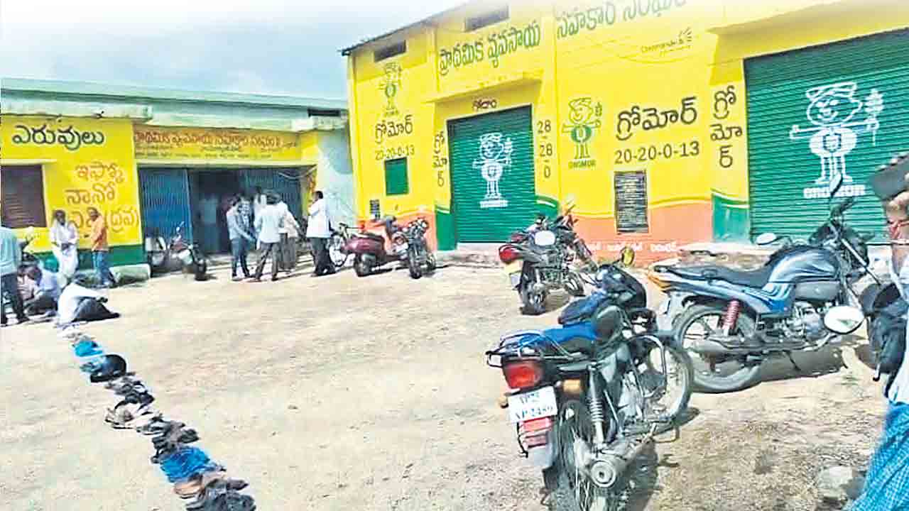 యూరియా కొరత తీరేదెన్నడు !