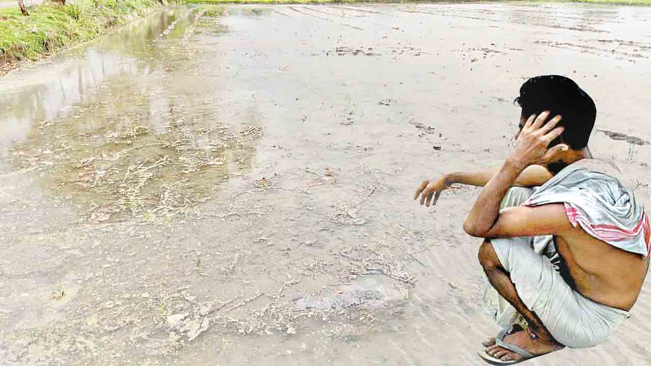 వానకాలం సాగుకు వేళాయె..