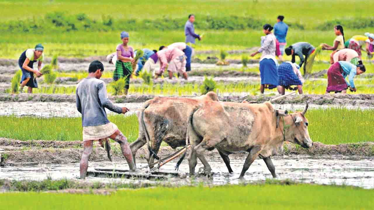 Rythu Bharosa | ఎన్నికల ‘భరోసా!’..ఆగమేఘాలపై రైతుభరోసా పంపిణీ చేసిన ప్రభుత్వం