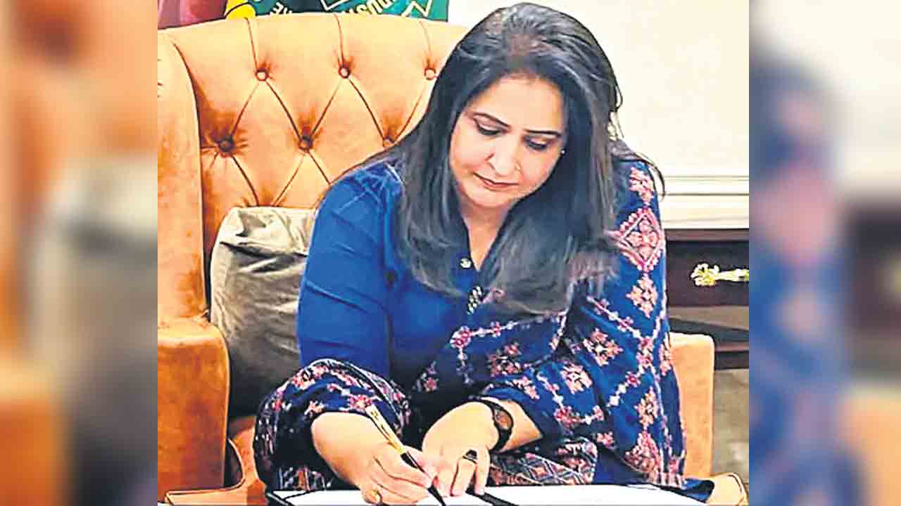 ఇన్‌ఫ్లూయెన్సర్లకు మేడమ్‌ ఎన్‌ ఎర