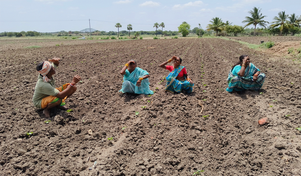 Sultanabad | వర్షాలు రావాయే.. పత్తి తడి ఎట్ల..?
