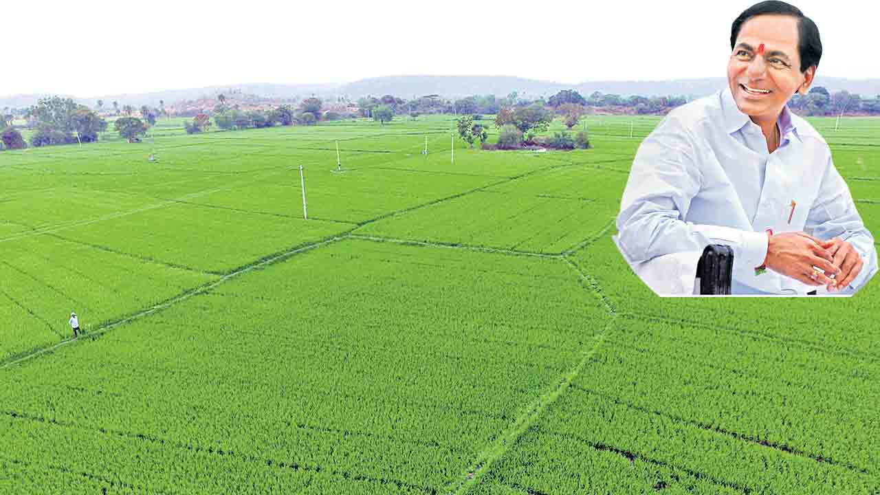 అక్షరాలా లక్ష కోట్ల పంట!