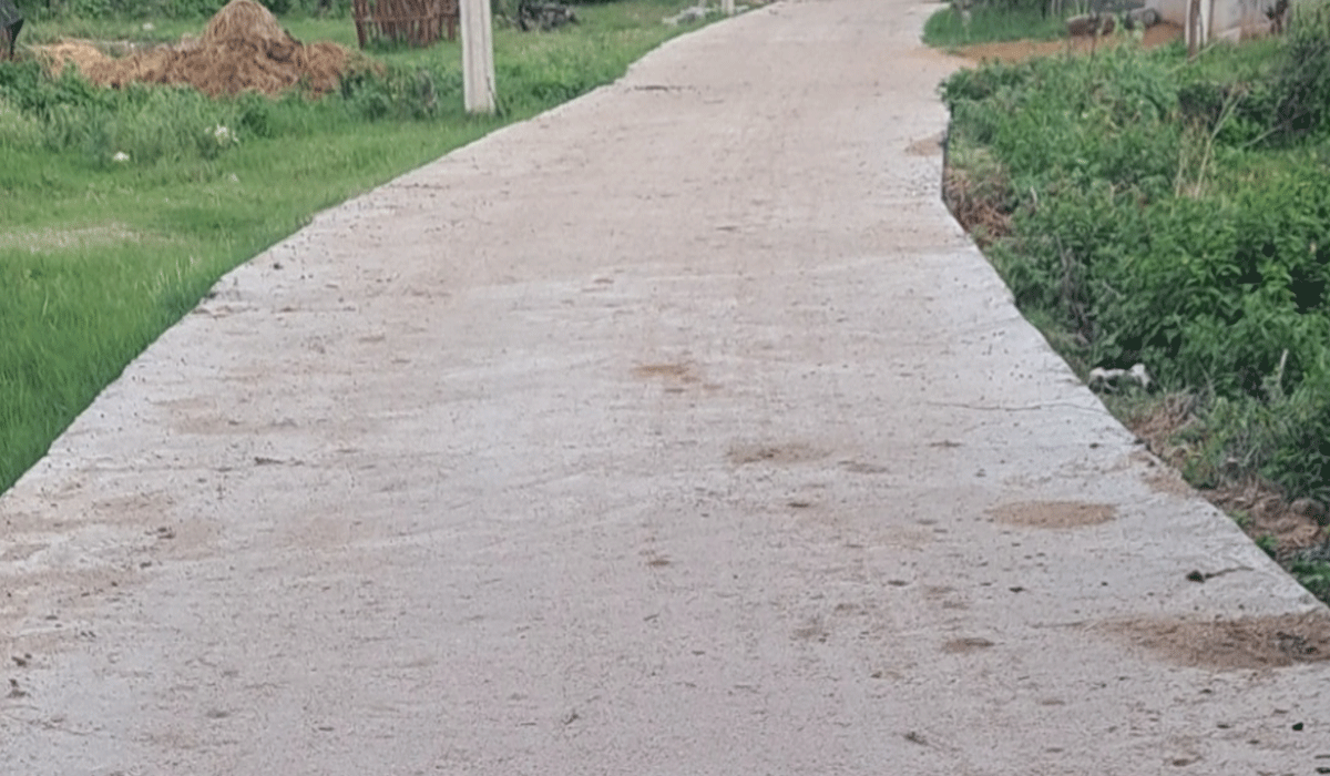 CC Roads | సీసీ రోడ్లు నిర్మించారు.. సైడ్ బర్మ్స్ మరిచారు