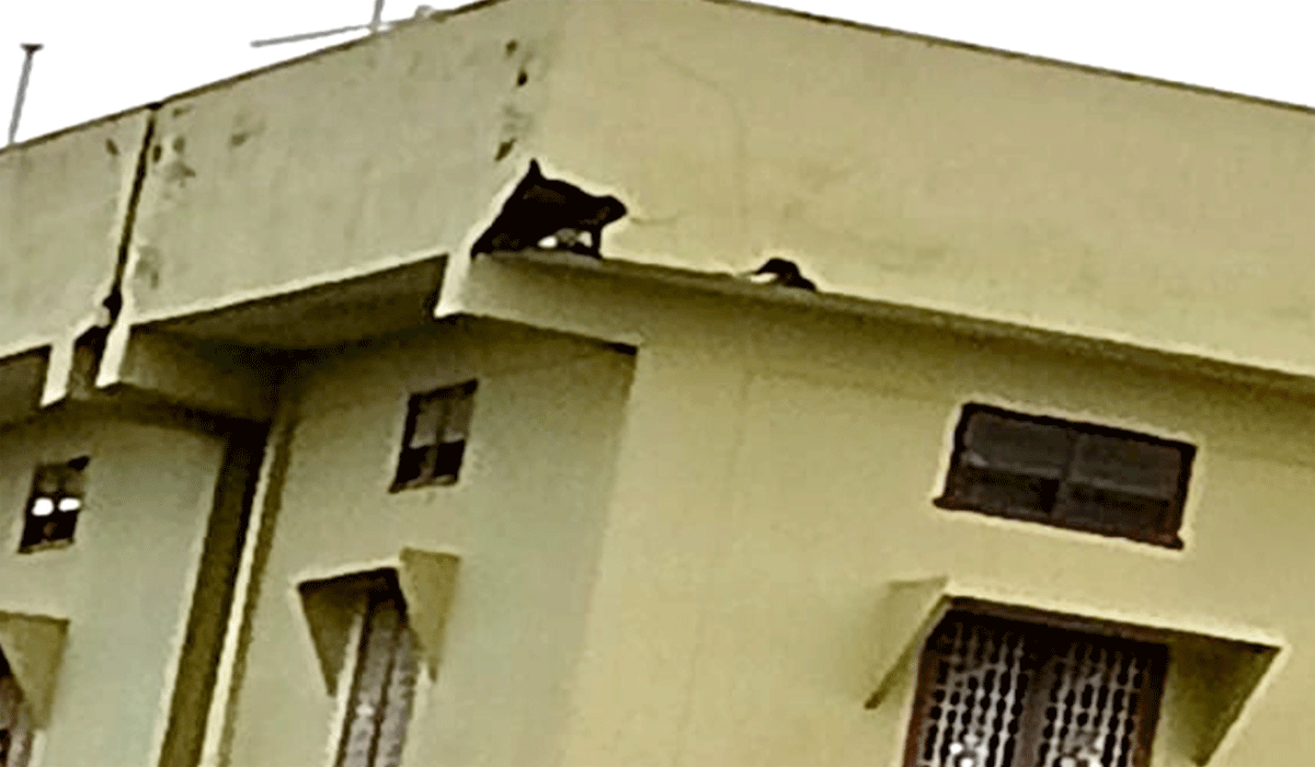 Lightning strikes | బొమ్మనలో ఓ ఇంటి పై పడిన పిడుగు.. కాలిన ఎలక్ట్రికల్ వస్తువులు