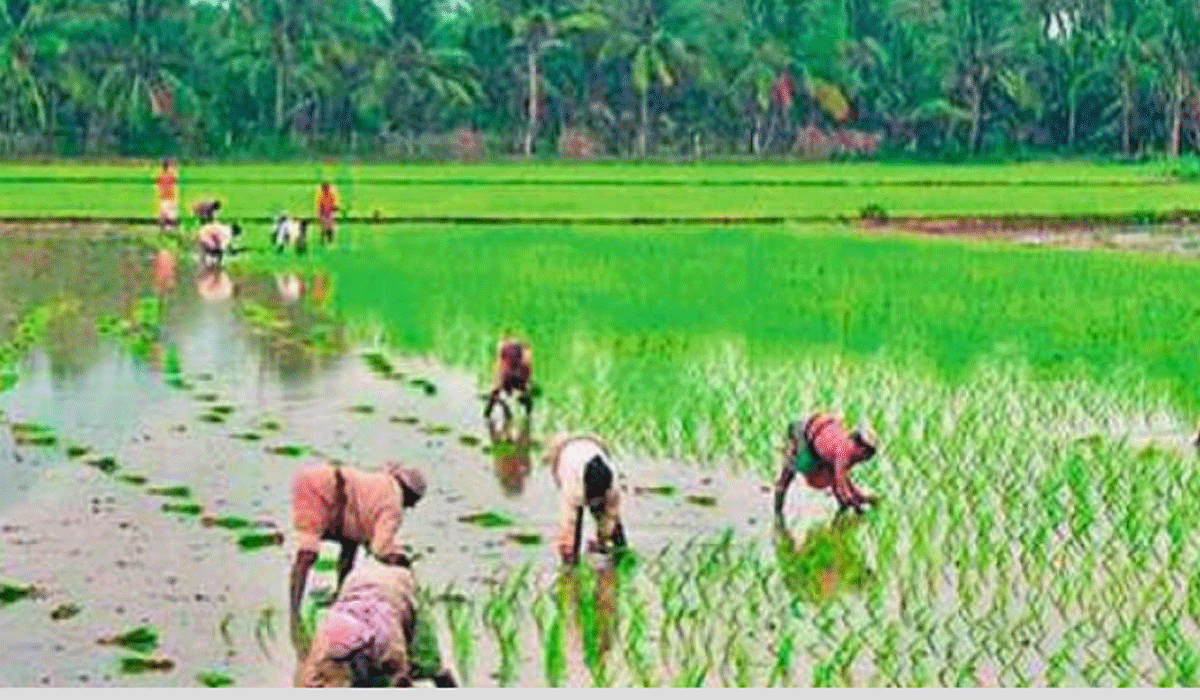 PM Kisan | పీఎం కిసాన్‌కు మోక్షమెప్పుడో.. .? 2018 డిసెంబర్‌ తర్వాత రెండోసారి అవకాశం ఇవ్వని కేంద్రం