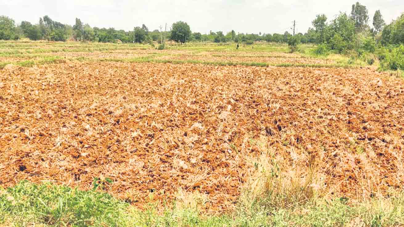 రెవెన్యూ అధికారుల దూకుడు!