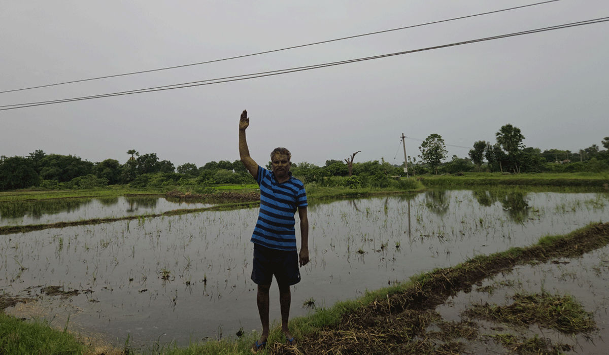 loose wires | పొలాల మధ్యలో ప్రమాదకరంగా లూజు వైర్లు.. సరి చేయాలని డిమాండ్‌ చేస్తున్న రైతులు