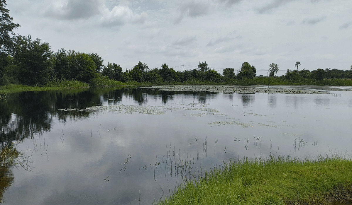 Ramsagar Lake | పోలీసుల కృషితో మిషన్ కాకతీయలో రాంసాగర్ చెరువుకు మహర్దశ..!