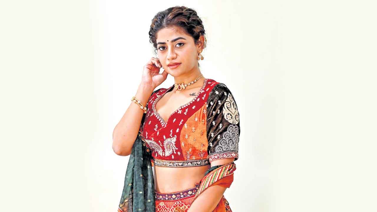 విరాటపాలెం: PC మీనా రిపోర్టింగ్‌