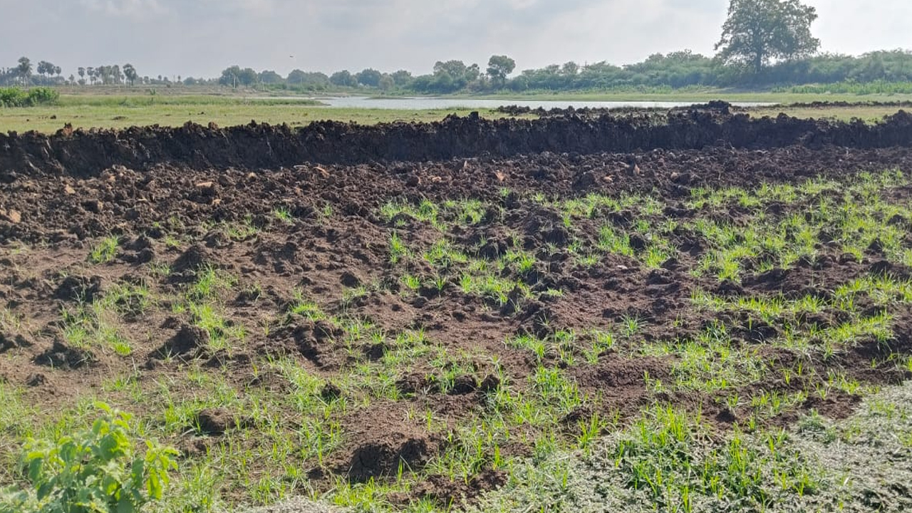 చెరువులను కొల్లగొడుతున్న అక్రమార్కులు.. ఫిర్యాదు చేసినా పట్టించుకోని అధికారులు