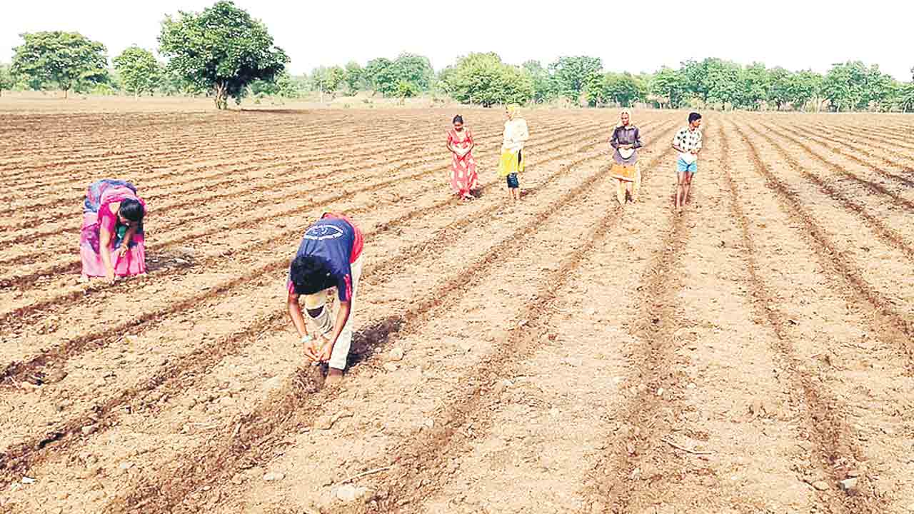 దళారులే దిక్కు