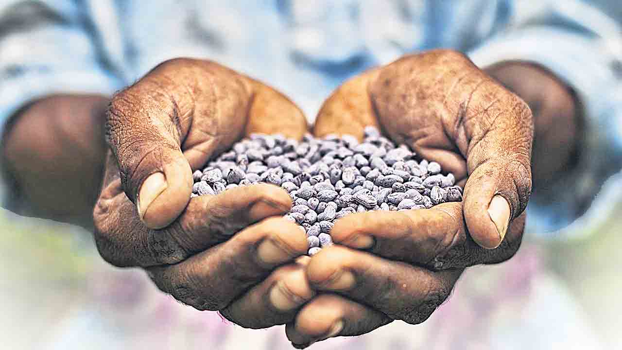 సిండికేట్‌ దోపిడీ