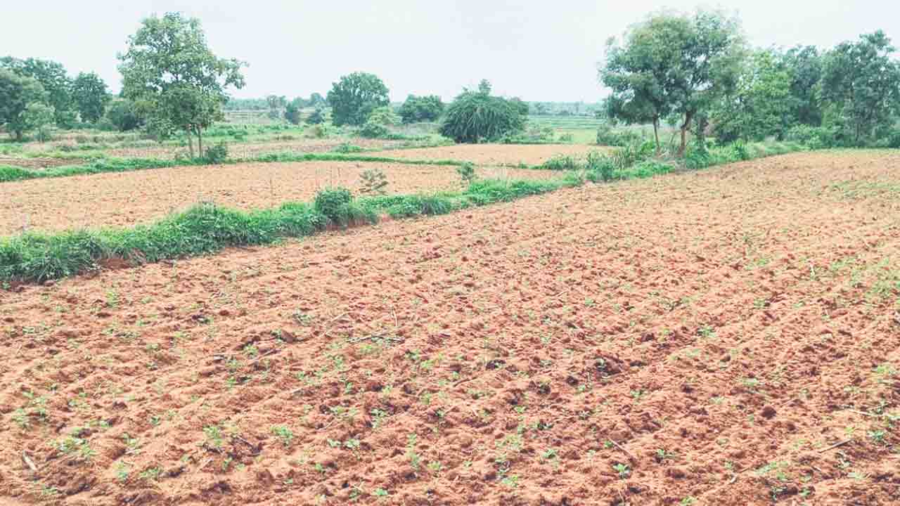 Adilabad2