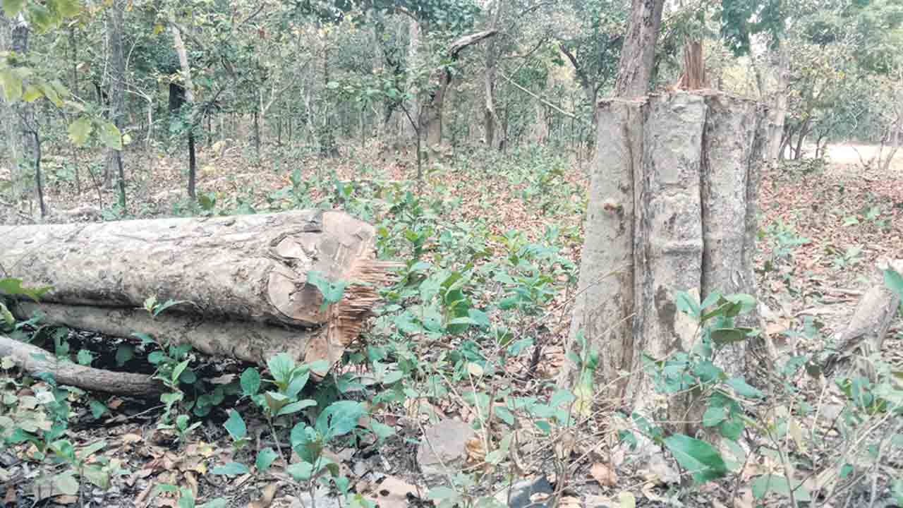 Adilabad3