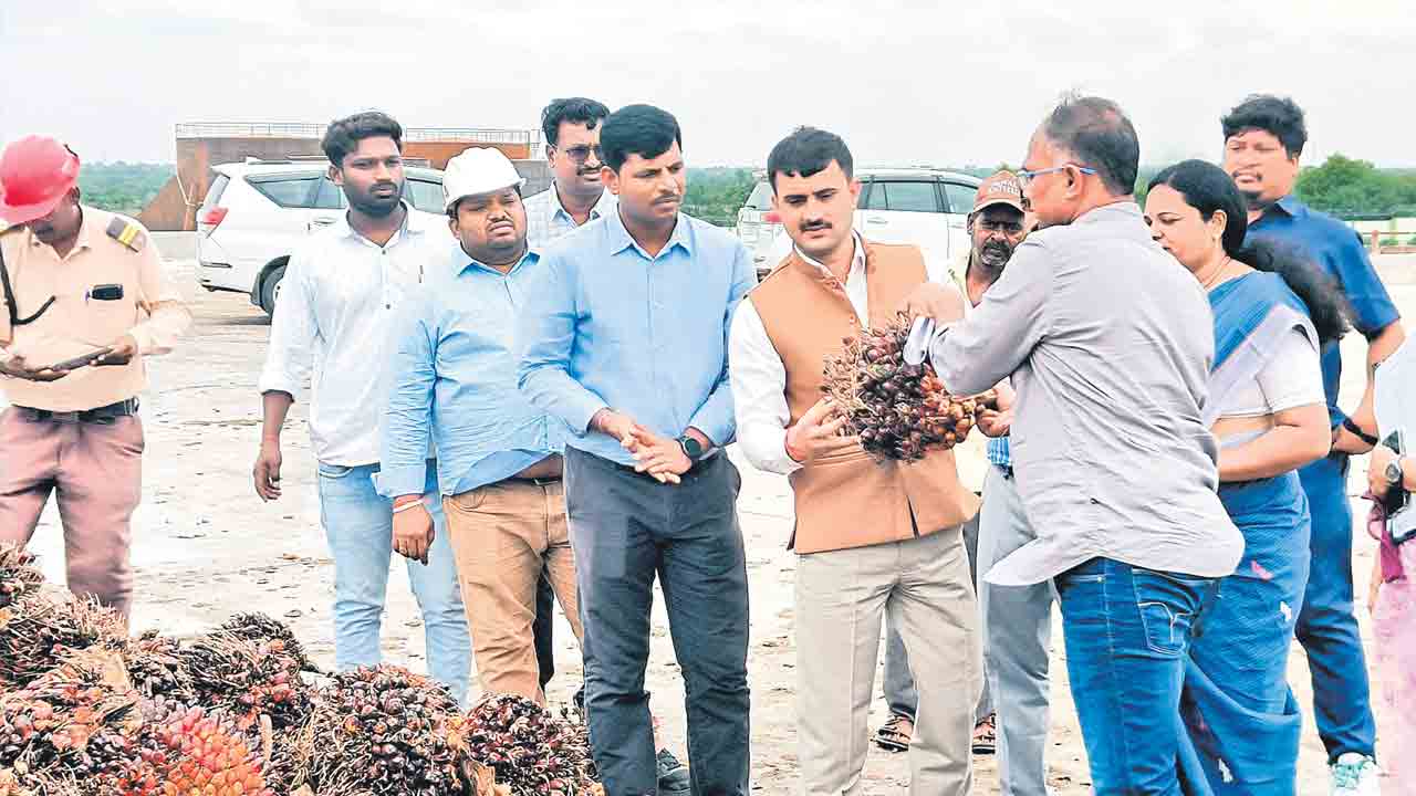 ఆయిల్‌పామ్‌ ఫ్యాక్టరీతో రైతులకు మేలు
