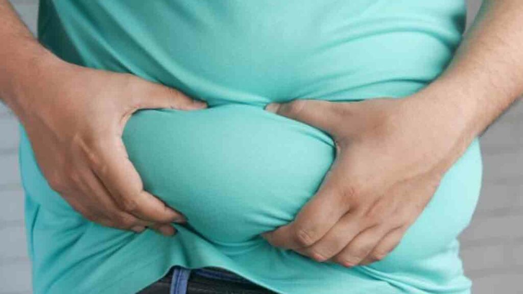 Belly Fat